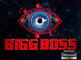 Big Boss Contestant List 2025